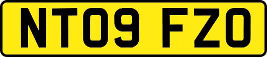 NT09FZO