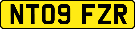 NT09FZR