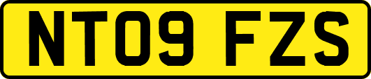 NT09FZS