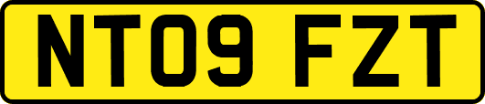 NT09FZT