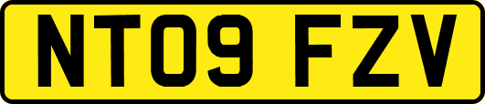NT09FZV
