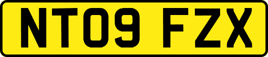 NT09FZX