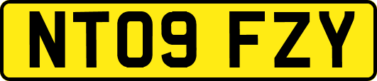 NT09FZY