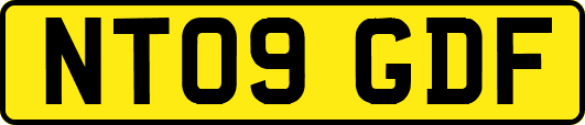 NT09GDF