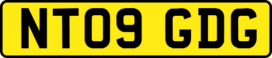 NT09GDG