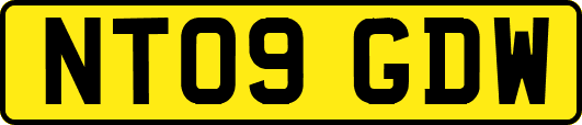 NT09GDW