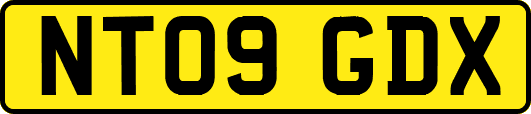 NT09GDX