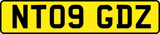 NT09GDZ