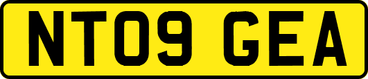 NT09GEA