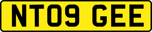 NT09GEE