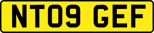 NT09GEF