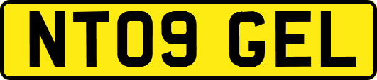 NT09GEL