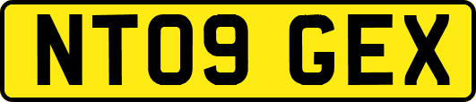 NT09GEX