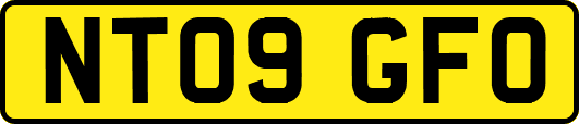 NT09GFO