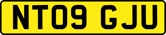 NT09GJU