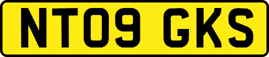 NT09GKS