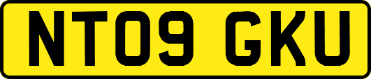 NT09GKU