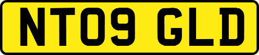 NT09GLD