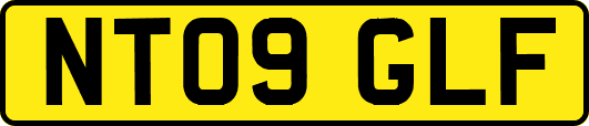 NT09GLF