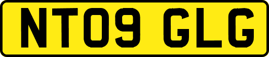 NT09GLG