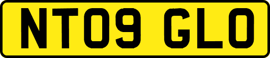 NT09GLO