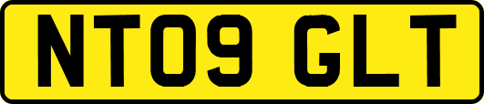 NT09GLT