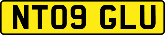 NT09GLU