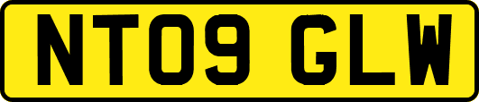 NT09GLW