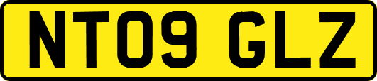 NT09GLZ