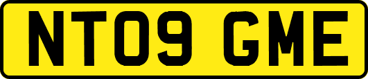 NT09GME