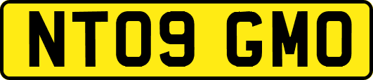 NT09GMO