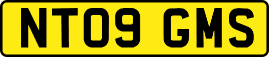NT09GMS