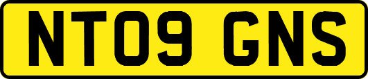 NT09GNS