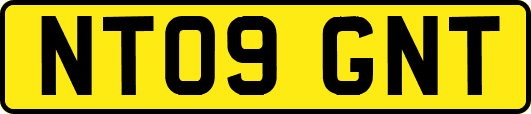 NT09GNT