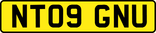 NT09GNU