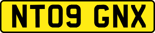 NT09GNX
