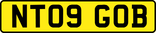 NT09GOB