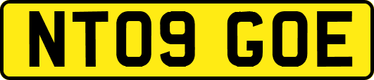NT09GOE