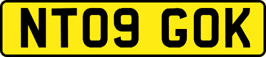 NT09GOK