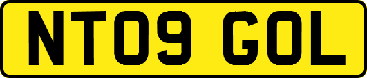 NT09GOL