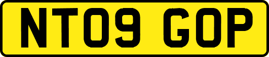 NT09GOP