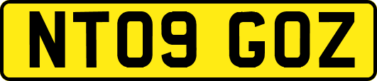 NT09GOZ