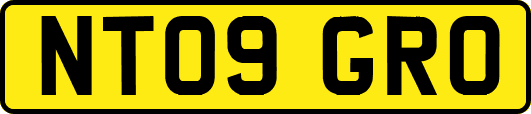 NT09GRO