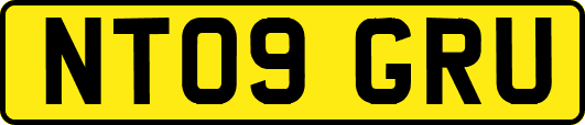NT09GRU