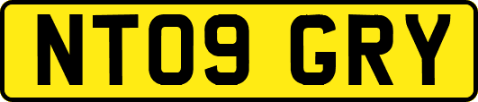 NT09GRY