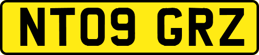 NT09GRZ
