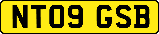 NT09GSB