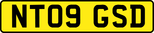NT09GSD