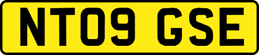 NT09GSE