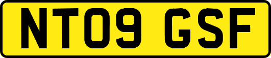NT09GSF